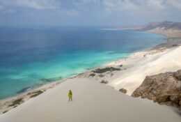 Socotra_2025 (2/76)